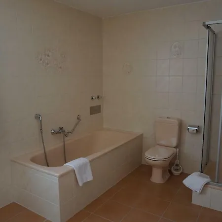 Pichler Apartament Hohenau