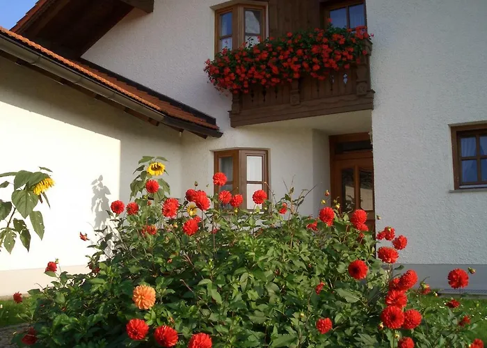 Pichler Apartament *
